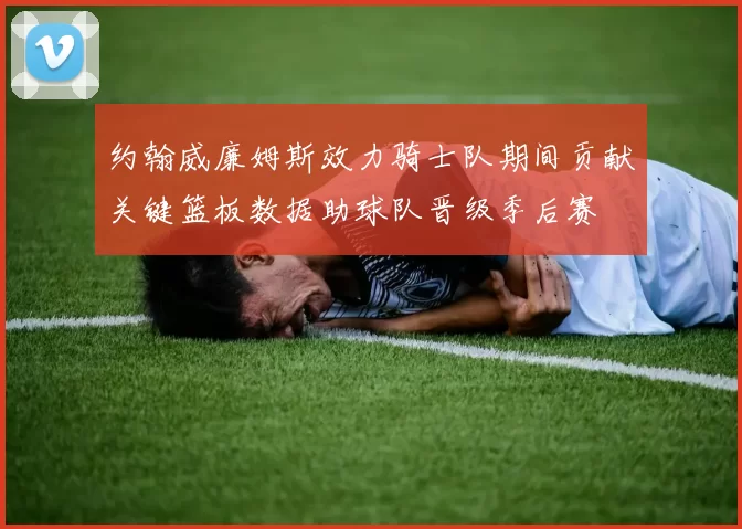 约翰威廉姆斯效力骑士队期间贡献关键篮板数据助球队晋级季后赛