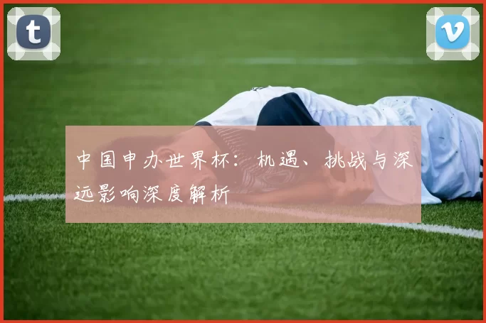 中国申办世界杯:机遇、挑战与深远影响深度解析