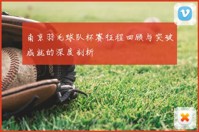 南京羽毛球队杯赛征程回顾与突破成就的深度剖析