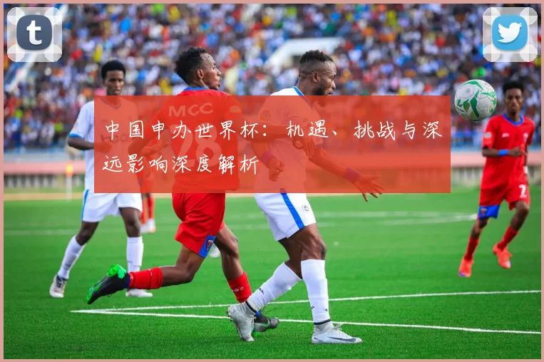 中国申办世界杯：机遇、挑战与深远影响深度解析
