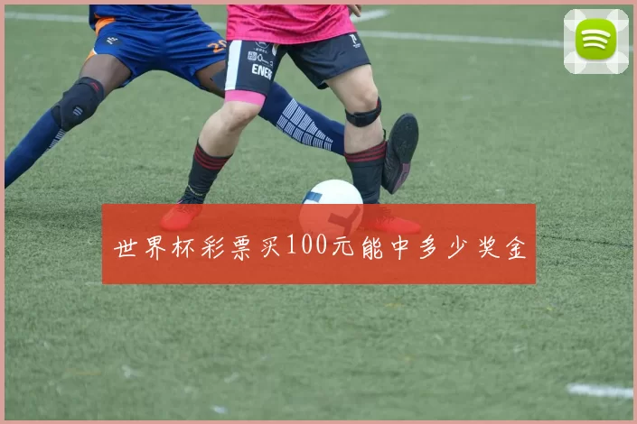 世界杯彩票买100元能中多少奖金