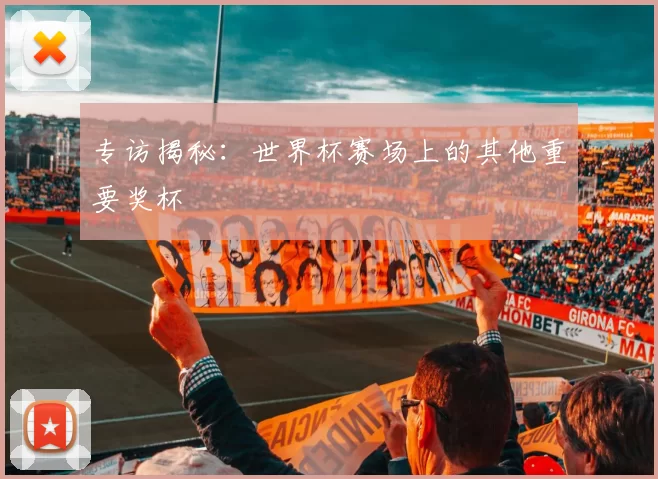 专访揭秘:世界杯赛场上的其他重要奖杯