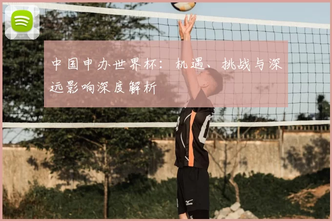 中国申办世界杯:机遇、挑战与深远影响深度解析