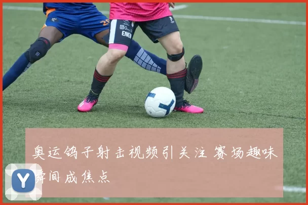 奥运鸽子射击视频引关注 赛场趣味瞬间成焦点