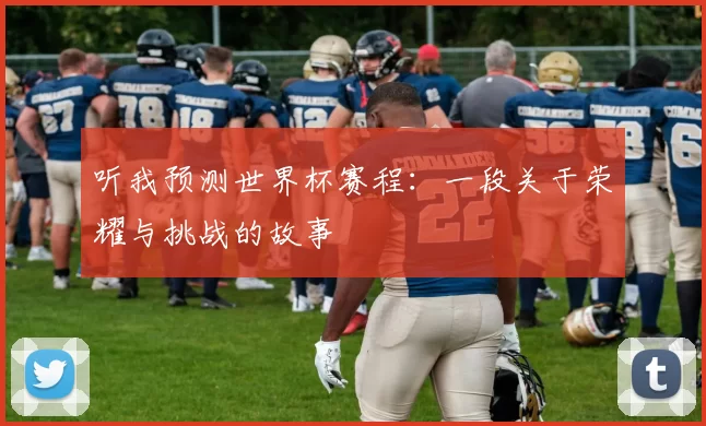 听我预测世界杯赛程:一段关于荣耀与挑战的故事