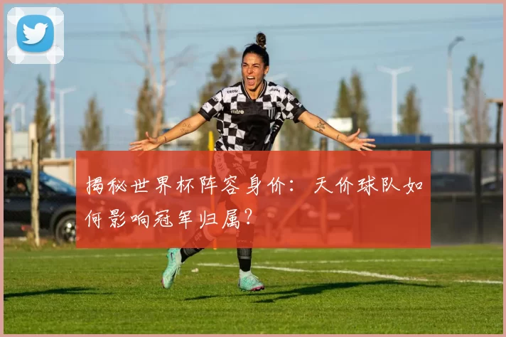 揭秘世界杯阵容身价：天价球队如何影响冠军归属？