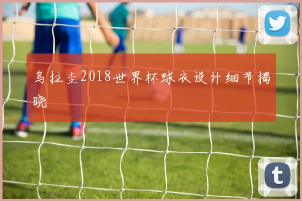 乌拉圭2018世界杯球衣设计细节揭晓