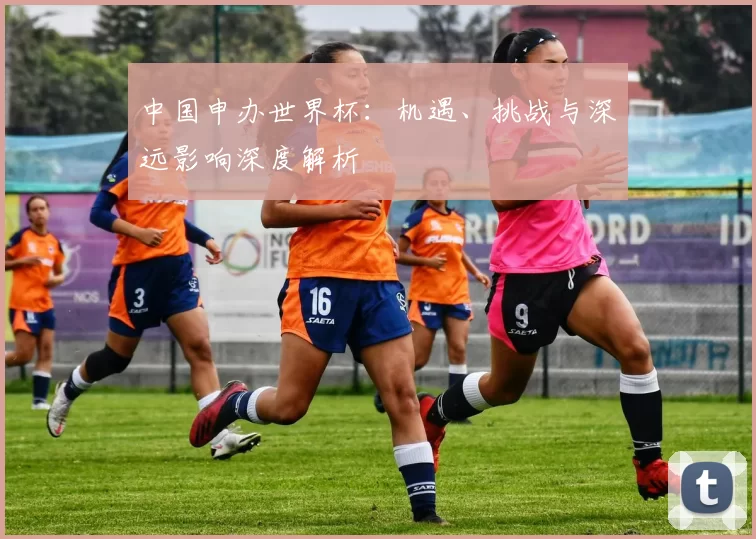 中国申办世界杯:机遇、挑战与深远影响深度解析