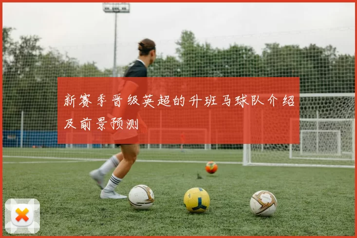 新赛季晋级英超的升班马球队介绍及前景预测