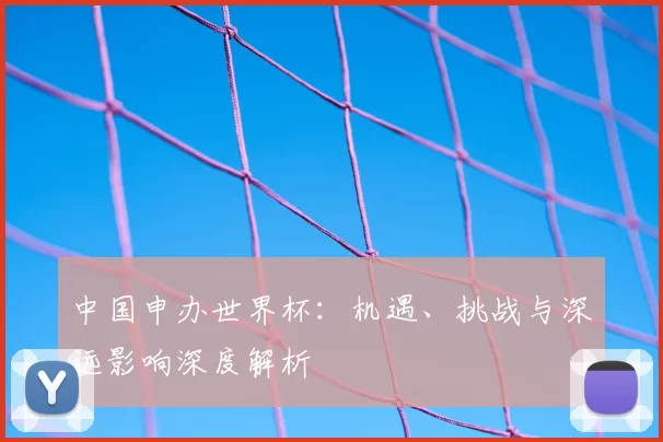 中国申办世界杯：机遇、挑战与深远影响深度解析