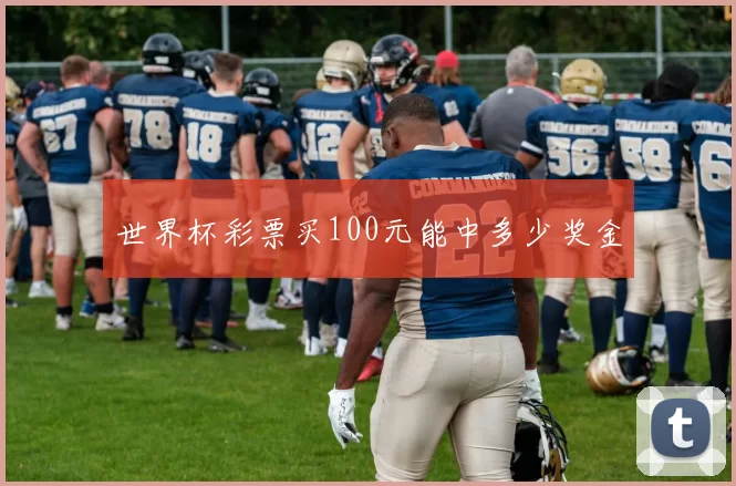 世界杯彩票买100元能中多少奖金