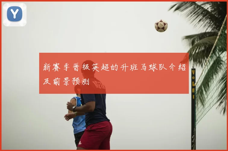 新赛季晋级英超的升班马球队介绍及前景预测