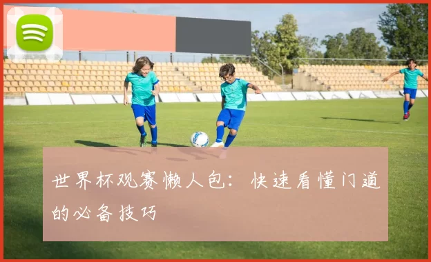 世界杯观赛懒人包：快速看懂门道的必备技巧