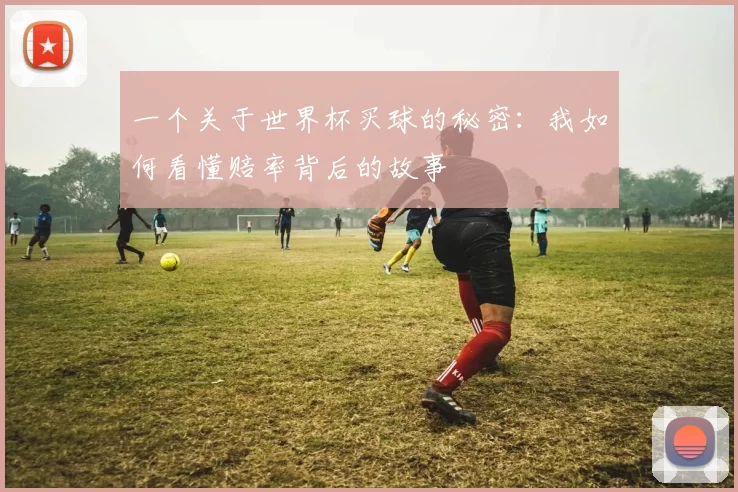 一个关于世界杯买球的秘密：我如何看懂赔率背后的故事