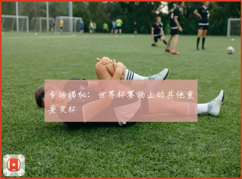 专访揭秘:世界杯赛场上的其他重要奖杯