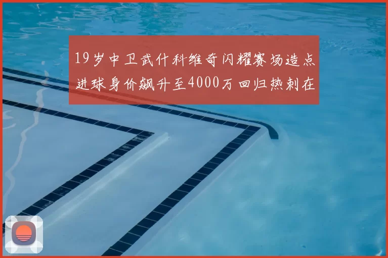 19岁中卫武什科维奇闪耀赛场造点进球身价飙升至4000万回归热刺在即
